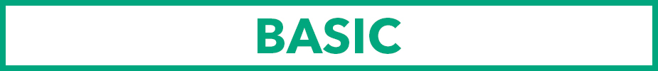 Section header for the Basic Profile Package